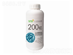 200�|΢�������-Ԫ������