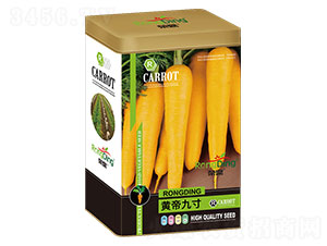 �S�۾Ŵ�-�}���N��-���L(f��ng)