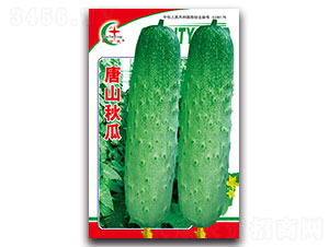 ��ɽ���-�S�ϷN��-���L