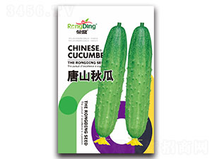 �s����ɽ���-�S�ϷN��-���L