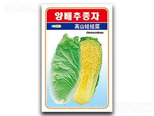 ��ɽ���޲�-��ײ˷N��-���L(f��ng)