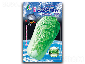 ̫��6̖F1-�ײ˷N��-���L(f��ng)