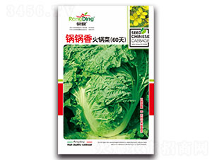 ����-�ײ˷N��-���L(f��ng)