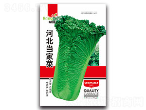 �ӱ���(d��ng)�Ҳ�-�ײ˷N��-���L(f��ng)