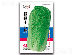 �w�wʮ�˽�-�ײ˷N��-���L(f��ng)