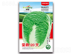 �s��120��-�ײ˷N��-���L(f��ng)