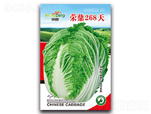 �s��268��-�ײ˷N��-���L(f��ng)