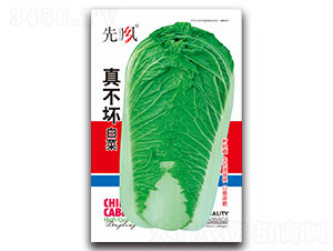 �治�İײ�-�ײ˷N��-���L(f��ng)