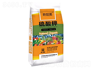 �����-����-���r(n��ng)���A