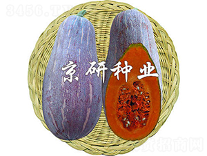 ����1̖(h��o)-�ϹϷN��-����