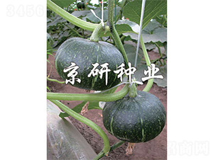 ���쾩�G��-�ϹϷN��-����