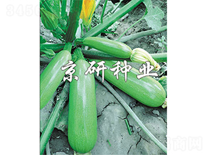 ����6̖-�����J�N��-����