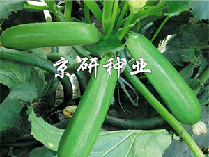 ����10̖-�����J�N��-����