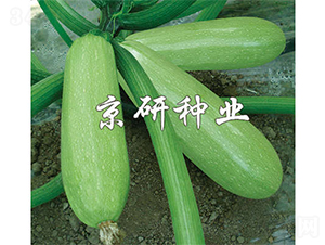 ����CRV3-�����J�N��-����