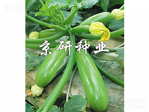 ����CRV3-3-�����J�N��-����