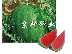 ��(gu��)��1̖(h��o)-���ϷN��-����