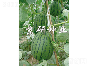 ���f-���ϷN��-����