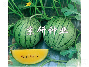 ���@-���ϷN��-����