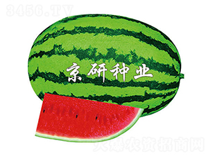 ����6̖(h��o)-���ϷN��-����