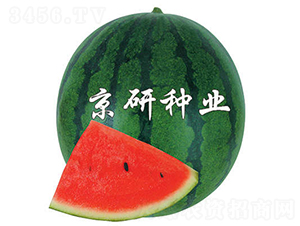 ��������2̖(h��o)-���ϷN��-����