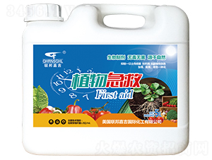 ֲ�Ｑ��-(li��n)��μ�