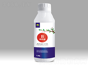 �Ǵ���-��������