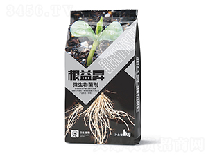 ΢�������-����N-��������