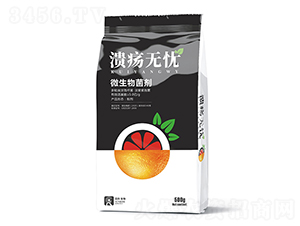 ΢�������-�����o�n-��������