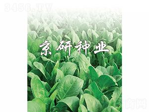 ����1̖(h��o)-���˷N��-����