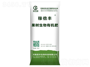 ���������ЙC(j��)��-�ڱ��S-���S