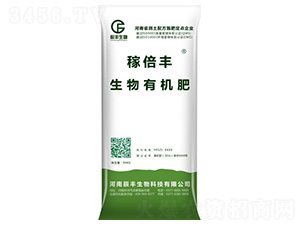 �����ЙC(j��)��-�ڱ��S-���S