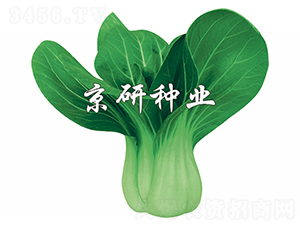 ����3̖(h��o)-С�ײ˷N��-����