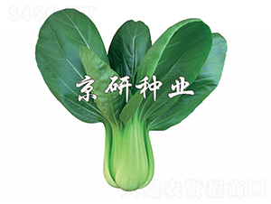 ����4̖(h��o)-С�ײ˷N��-����