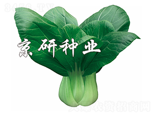 ����5̖(h��o)-С�ײ˷N��-����