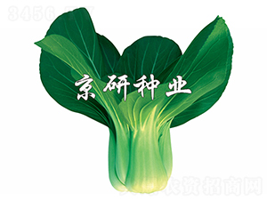 ���G2̖(h��o)-С�ײ˷N��-����