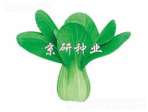 ����1̖(h��o)-С�ײ˷N��-����