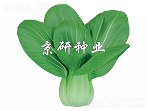 ����2̖(h��o)-С�ײ˷N��-����