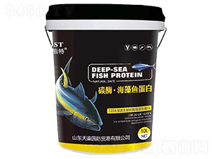 ̼ø�������~����-�Wʩ��-���b���H