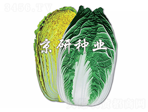 �����S-�ײ˷N��-����