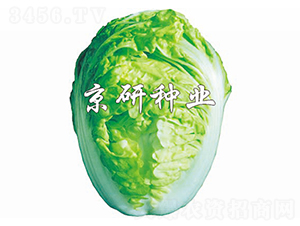 ����2̖-�ײ˷N��-����