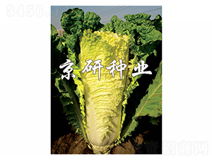 ������56̖-�ײ˷N��-����