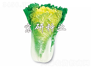 С�s56̖-�ײ˷N��-����