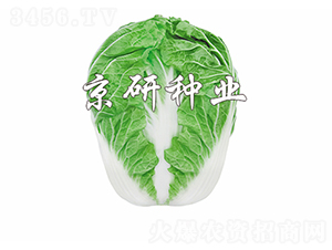 ����602-�ײ˷N��-����