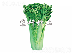 ����75̖-�ײ˷N��-����