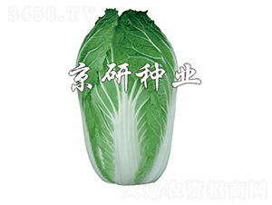 ����70-�ײ˷N��-����