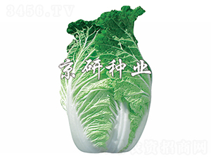 ����75̖-�ײ˷N��-����