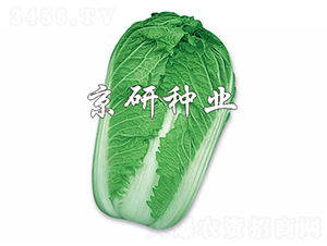 ����3̖-�ײ˷N��-����