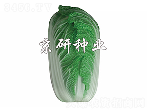 �����ۼt2̖-�ײ˷N��-����