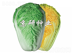 �����ۼt3̖-�ײ˷N��-����