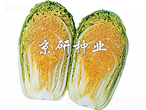 �����ۼt��-�ײ˷N��-����